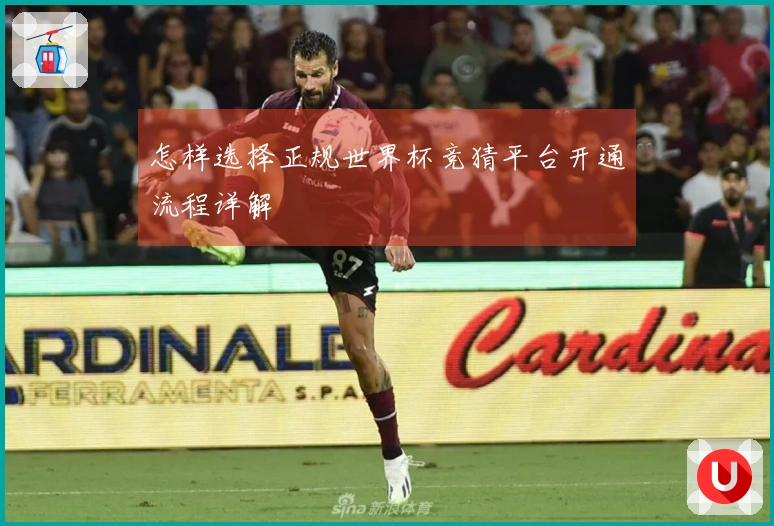 怎样选择正规世界杯竞猜平台开通流程详解